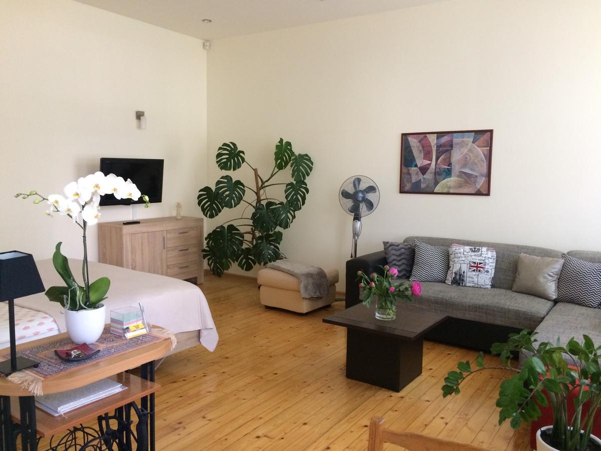 Kranto Luxe Stay Panevėžys エクステリア 写真